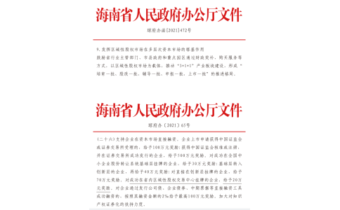 海南省政策：瓊府辦[2021]65號(hào)